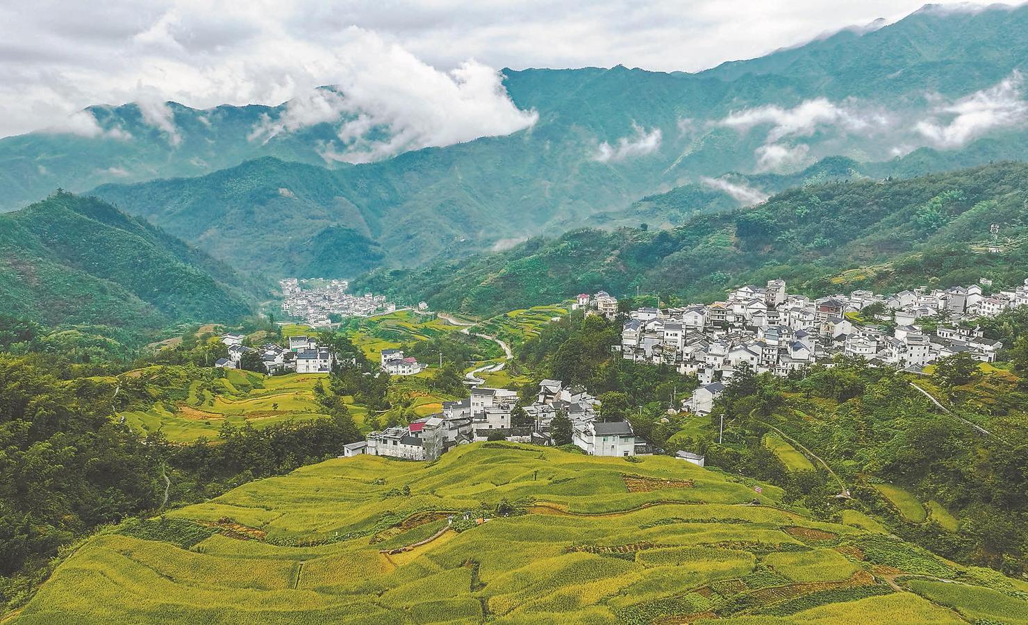 安徽技能学习,任务与技能学习步骤指南