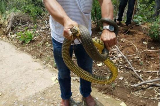 千年古都河南焕新,中原大地谱写新篇章