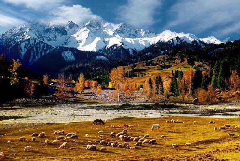 新疆大地的瑰宝,文化与自然的交响乐章