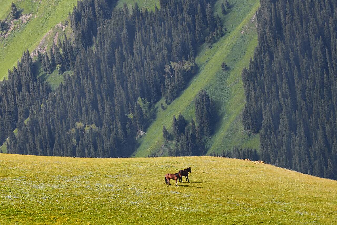新疆大地的瑰宝,文化与自然的交响乐章