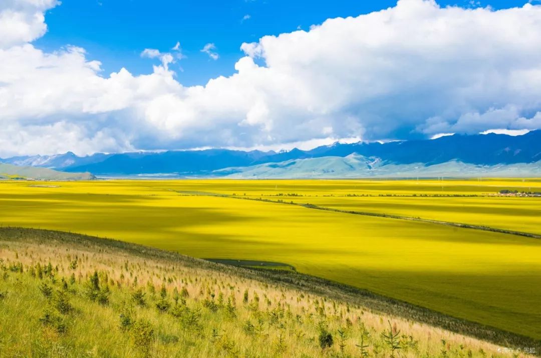 青海阳光下的传奇故事