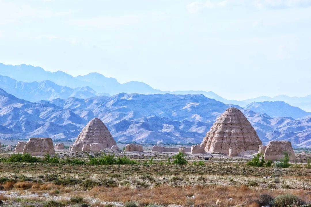 塞上江南宁夏,绿色发展谱写新篇章