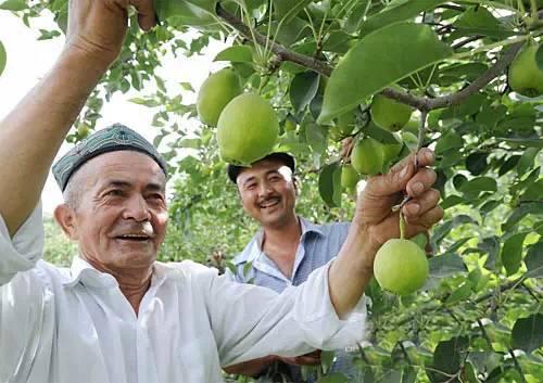 新疆,多元文化交融推动区域发展新篇章