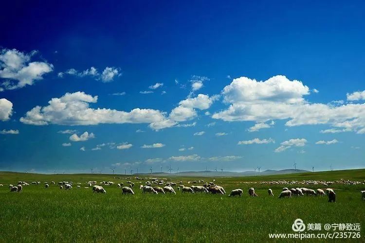 呼伦贝尔,草原诗意的天堂